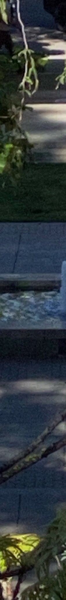 Healdsburg Plaza-希尔兹堡