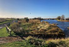 Barton's Point Coastal Park景点图片