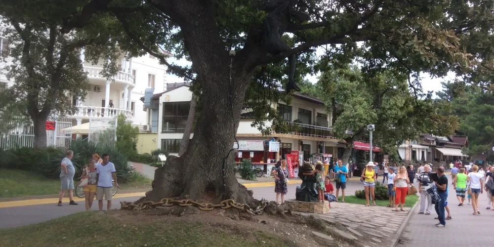 永安旅遊
