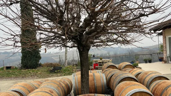 Cantina Hilberg Pasquero