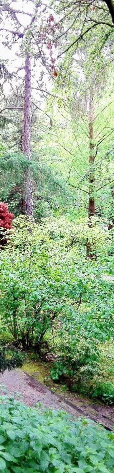 Alter Botanischer Garten-基尔