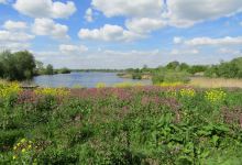 Croxall Lakes景点图片