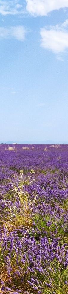 瓦朗索尔高原-瓦朗索勒