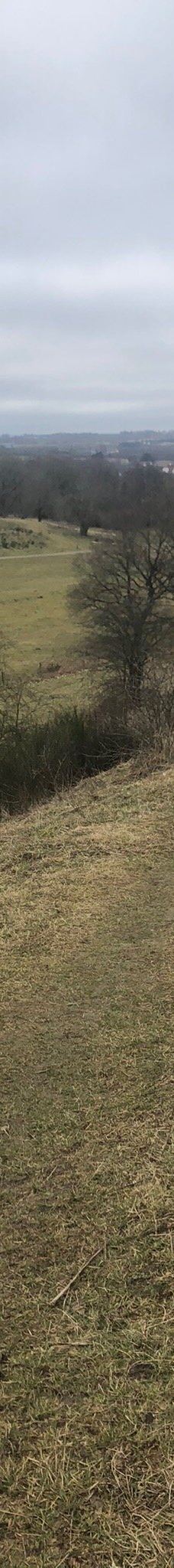 Svanninge Bakker-福堡