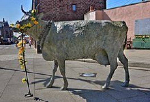 Turra Coo景点图片