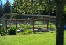 Gold Beach Community Garden景点图片
