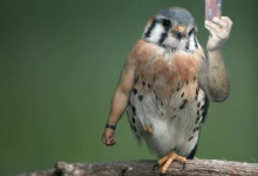 Taman Dukuh景点图片