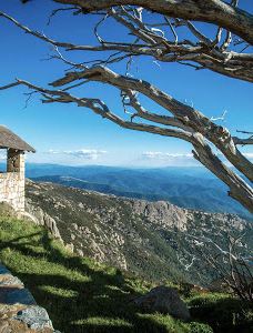 The Horn Picnic Area-芒特巴弗法洛