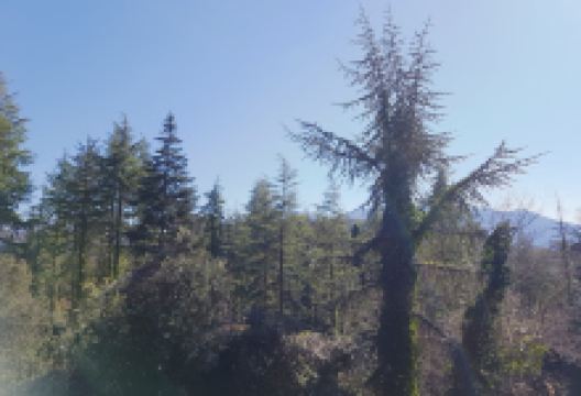 Riera d'Espinelves景点图片