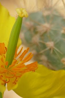 Botanical Garden-维尔茨堡