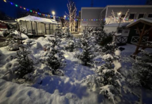 Christmas Village购物图片