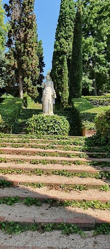 Jardí Botànic Tropical Paratge Pinya de Rosa-布拉内斯