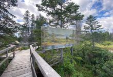 Indian River Walking Trail景点图片