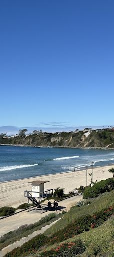 Salt Creek Beach-达纳点