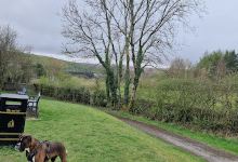 War Memorial Park景点图片