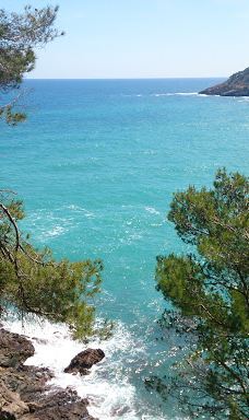 Playa Sa Riera-巴古尔