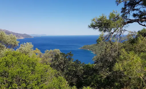 Nimara Magarasi