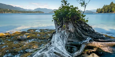Plumper Cove Marine Provincial Park