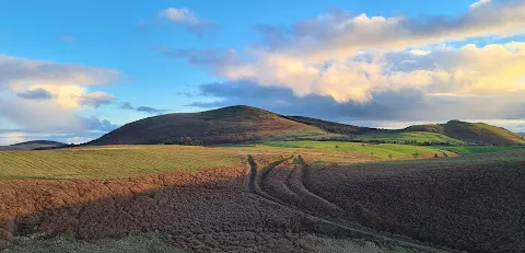 Mitchell's Fold Stone Circle