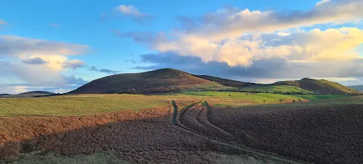 Mitchell's Fold Stone Circle