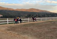 El riah equestrian club نادي الرياح للفروسية景点图片