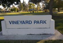 Vineyard Park景点图片