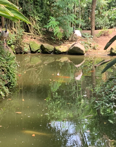 Butterfly Park Empuriabrava-Alt Emporda