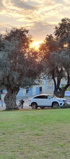 Yigal Allon Cultural Center-萨法德