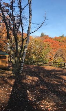 市民の森不習岳-八户