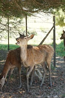 La Pequeña África-加的斯省