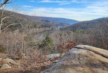 Webb Mountain Campsites 2-7景点图片