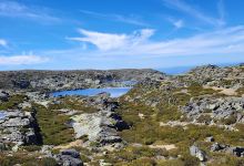 Teleférico da Serra da Estrela景点图片