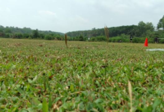 Pazhanilam Ground景点图片