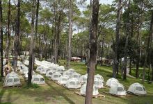 Camping Park景点图片