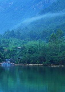九龙竹海公园-永安
