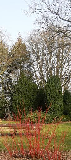 Geografisk Have-科灵