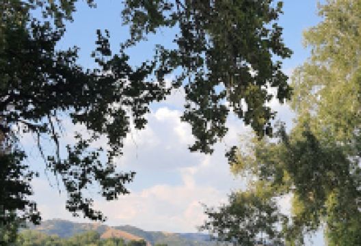 Kampiraliste Aniva景点图片