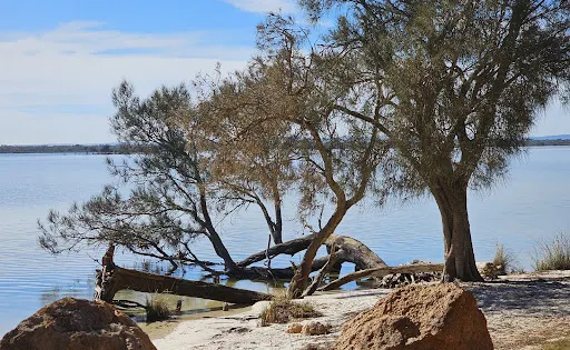 Island Point Reserve