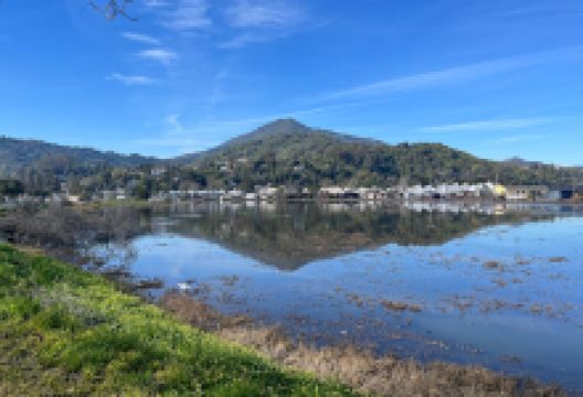 Piper Park景点图片