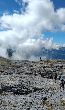 Flaine 1600 2500-阿拉什