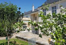 Jardin de l'Orangerie景点图片