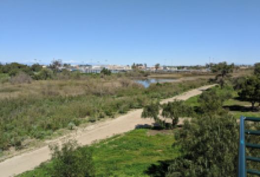 Ken Malloy Harbor Regional Park景点图片