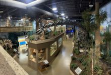 The Dinosaur Store景点图片