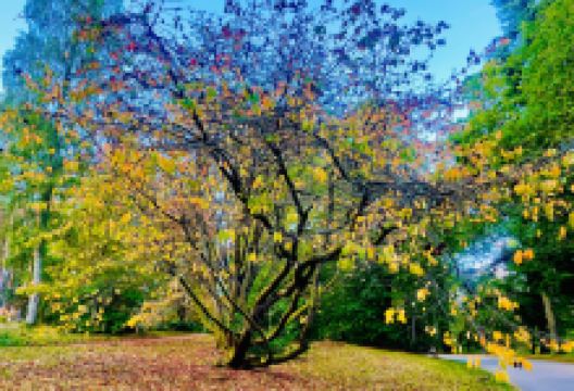 克雷斯城堡景点图片