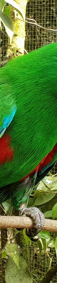 Butterfly Park Empuriabrava-Alt Emporda