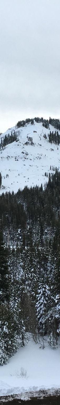 Sugar Bowl Resort-普莱瑟县