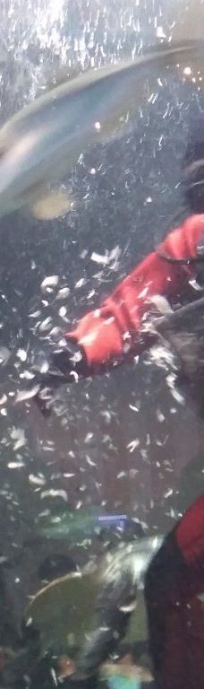 八户市水产科学馆Marient-八户