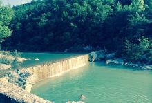 Foresta di Berignone景点图片