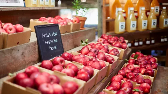 Logan Brae Orchard