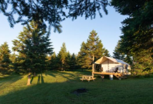 Bear Rock Adventures购物图片